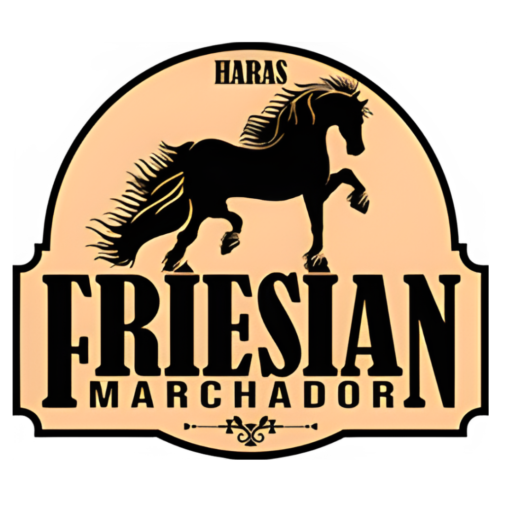 Fresian Marchador